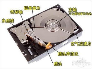 綠色未來，共贏商機——首能環保材料產品解析與加盟優勢